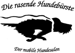 Die rasende Hundebürste