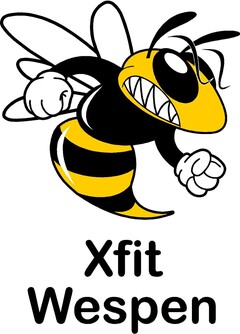 Xfit Wespen