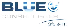 BLUE CONSULT GmbH