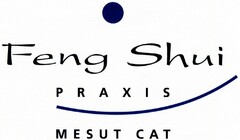 Feng Shui PRAXIS MESUT CAT