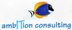 ambITion consulting