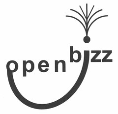 open bizz