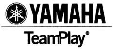 YAMAHA TeamPlay