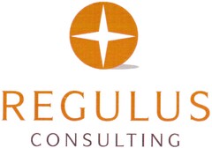 REGULUS CONSULTING