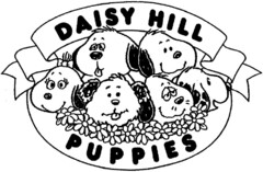 DAISY HILL PUPPIES