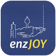 enzJOY