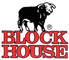 BLOCK HOUSE