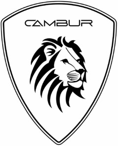 CAMBUR