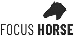 FOCUS HORSE