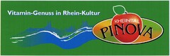 RHEINTAL PINOVA Vitamin-Genuss in Rhein-Kultur