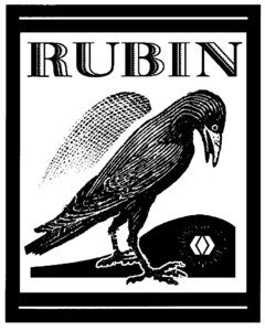 RUBIN