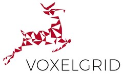 VOXELGRID