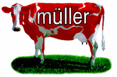 müller