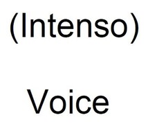 (Intenso) Voice