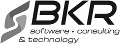 BKR software · consulting & technology