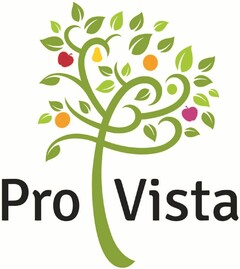 Pro Vista
