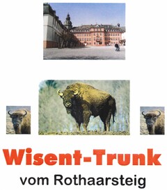 Wisent-Trunk vom Rothaarsteig