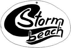 Storm beach