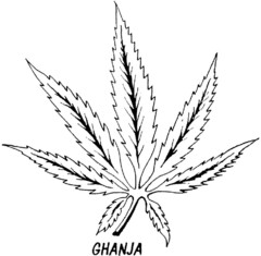 GHANJA