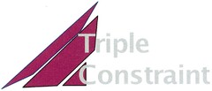 Triple Constraint