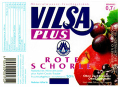 VILSA PLUS ROTE SCHORLE