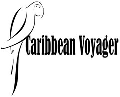 Caribbean Voyager