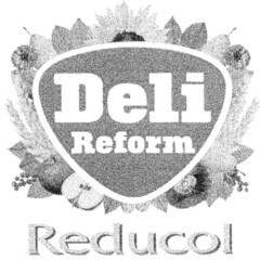 Deli Reform Reducol