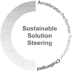 Sustainable Solution Steering Accelerator Performer Transitioner Challenged