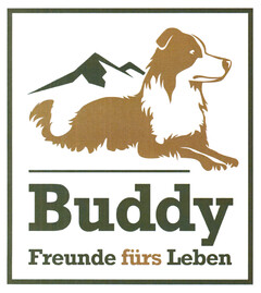 Buddy Freunde fürs Leben