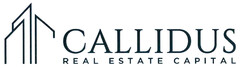 CALLIDUS REAL ESTATE CAPITAL