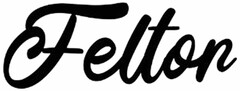 Feltor