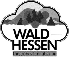 WALD HESSEN Ihr grünes Urlaubsland