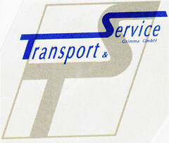 TS TRANSPORT & SERVICE