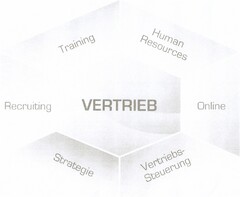 Training Human Resources Recruiting VERTRIEB Online Strategie Vertriebssteuerung