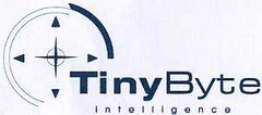 TinyByte Intelligence