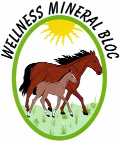 WELLNESS MINERAL BLOC