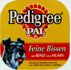 Pedigree  PAL