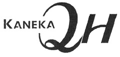 KANEKA QH