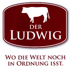 DER LUDWIG WO DIE WELT NOCH IN ORDNUNG ISST.