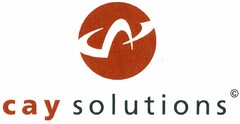 cay solutions