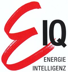 ENERGIE INTELLIGENZ