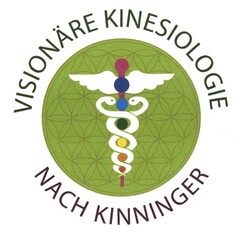 VISIONÄRE KINESIOLOGIE NACH KINNINGER