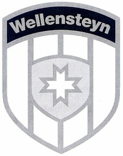 Wellensteyn