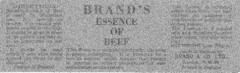 BRAND`S ESSENCE OF BEEF