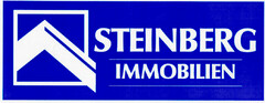 STEINBERG IMMOBILIEN