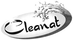 Cleanat