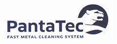 PantaTec FAST METAL CLEANING SYSTEM
