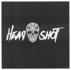 HEAD SHOT