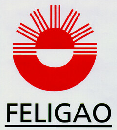 FELIGAO