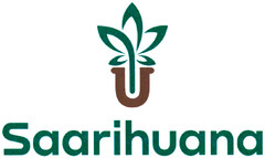 Saarihuana